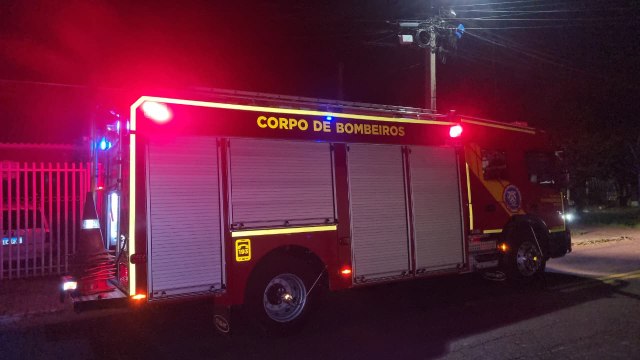 Bombeiros são chamados para resgatar cão que ficou com a cabeça presa em grande em Cascavel