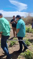Vecinos derriban barda con marros para no ahogarse en Hermosillo.
