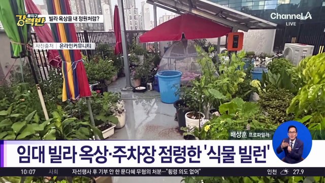 [돌직구 강력반]빌라 옥상 점령한 역대급 ‘식물 빌런’