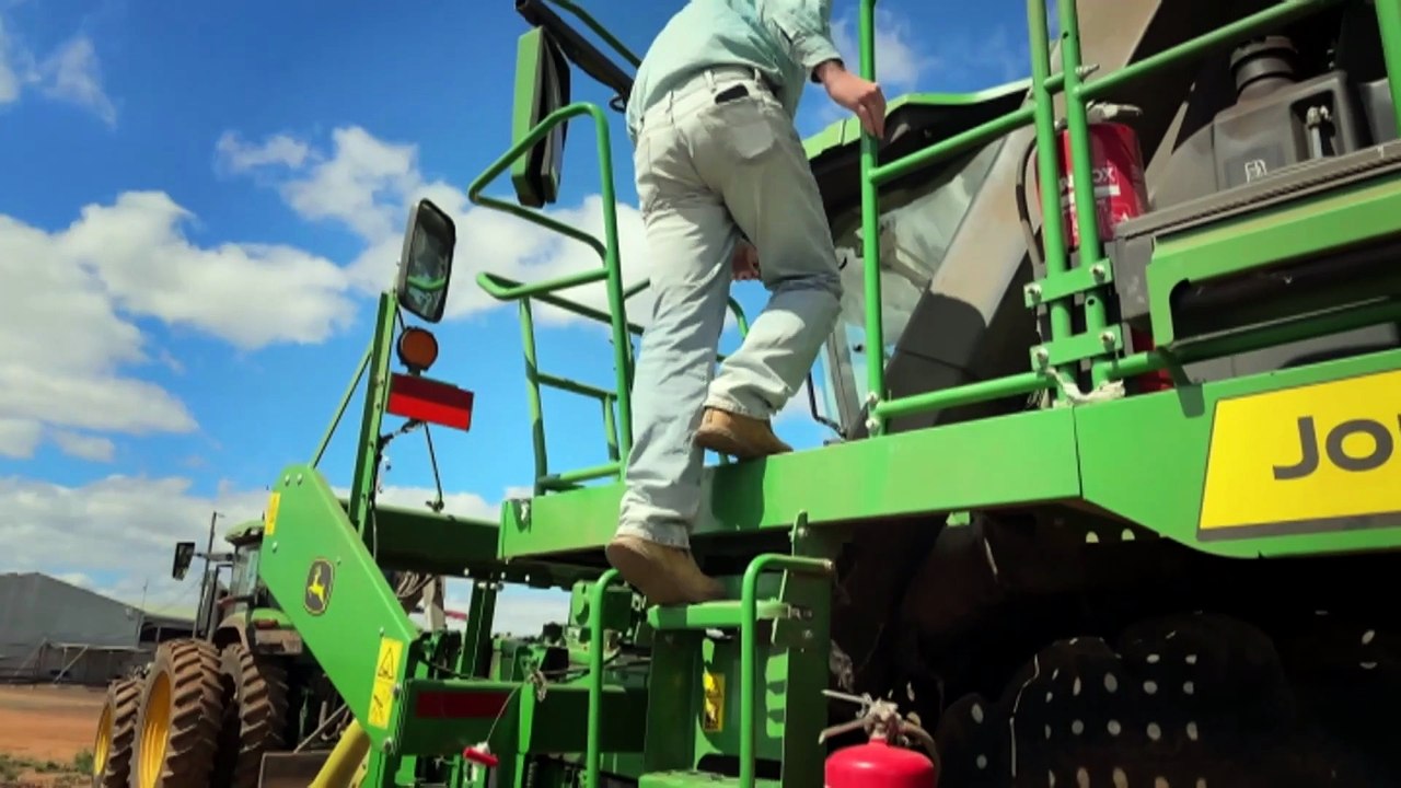 Cotton growers in Far North Queensland experience their best crop season