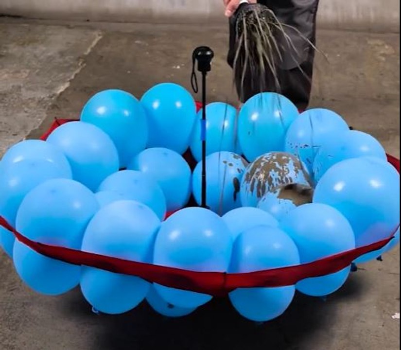 DIY Bubble-Chair Project You’ll Love