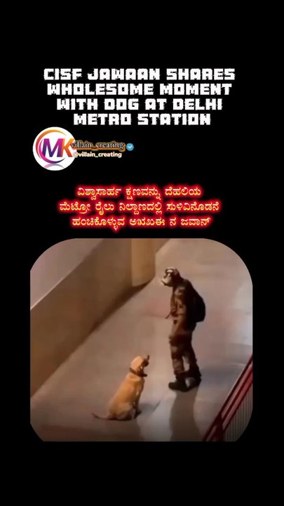 #viral #reels #trending #explorepage #viralvideo #comedy #fypviral #viral #trending #reels #viral #viralvideo #reels #fyp #comedy #funny