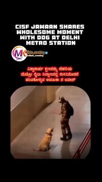 #viral #reels #trending #explorepage #viralvideo #comedy #fypviral #viral #trending #reels #viral #viralvideo #reels #fyp #comedy #funny