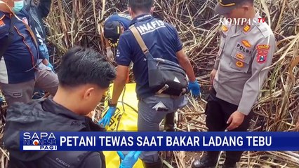 Petani di Madiun Tewas Terjebak Api dan Asap di Ladang Tebu yang Dibakarnya | SAPA PAGI