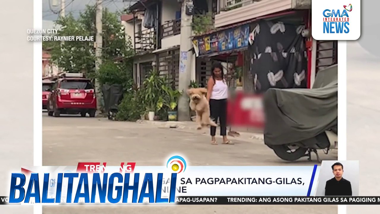 Asong todo-bigay sa pagpapakitang-gilas, kinaaaliwan online | Balitanghali