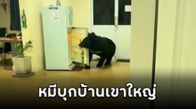 เหลือจะเชื่อ ! ไปนอนบ้านพักที่เขาใหญ่ โดนหมีบุกมาเปิดตู้เย็น