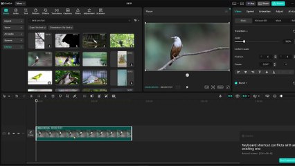 How to Apply Magnifying Glass Effect in CapCut PC