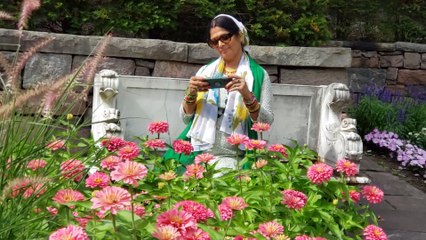 Baharon Phool Barsao by Chitralekha Dixit