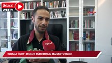 İguana ‘İgor’, hukuk bürosunun maskotu oldu