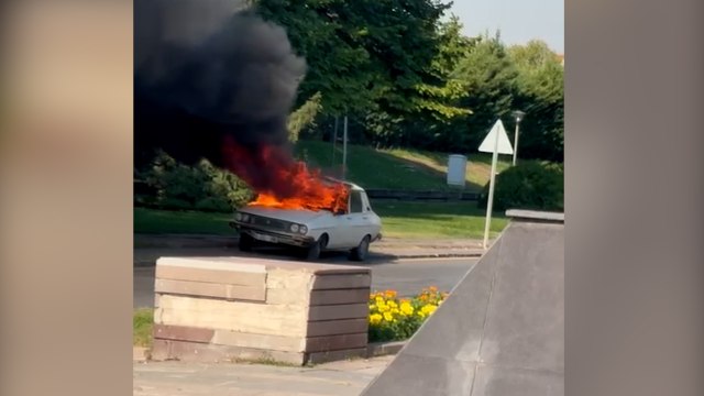 Komisyon toplantısı öncesi Meclis önünde beyaz toros paniği