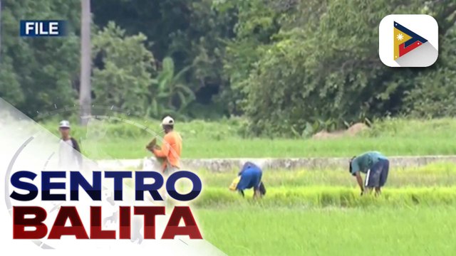 D.A., iginiit na mahalaga ang epektibong flood control projects para maibsan ang pinsala sa agriculture sector tuwing masama ang panahon