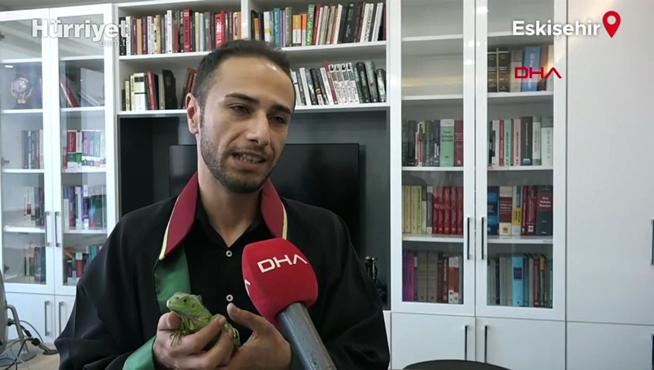 İguana ‘İgor’, hukuk bürosunun maskotu oldu