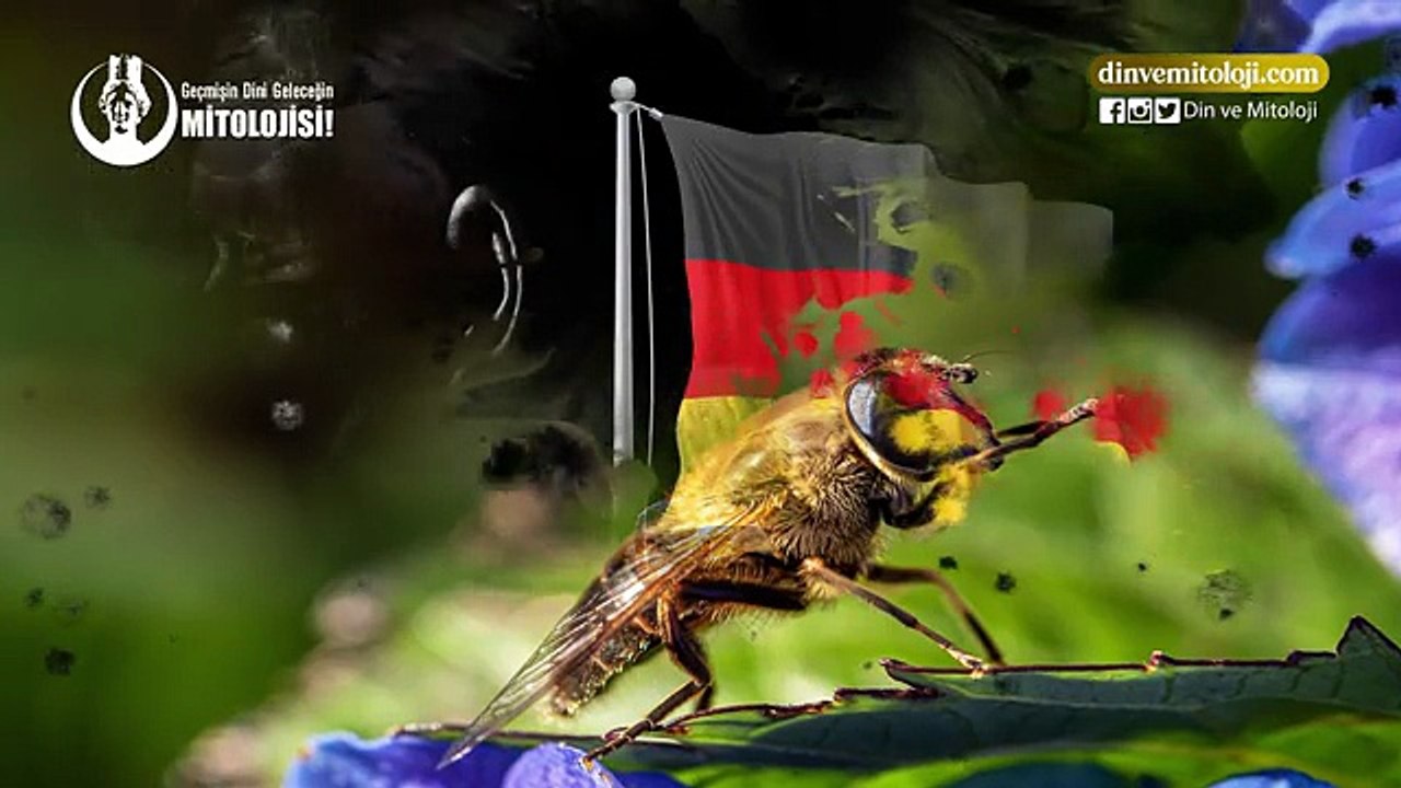 KUR'AN'DA DİŞİ ARI MUCİZESİ Mİ VAR