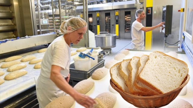 Safed Bread Kaise Banta Hai: सफेद ब्रेड कैसे बनता है,आटा या मैदा,अंडा डालते है या नहीं |Boldsky