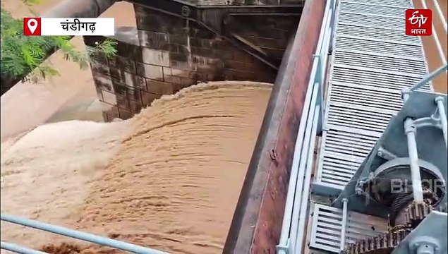 चंडीगढ़ में सुखना झील का फ्लडगेट खुला, भारी बारिश का दिखा असर, जल स्तर 1163 फीट किया गया दर्ज