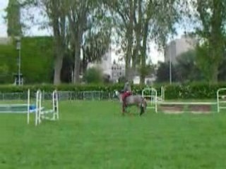 Une cavalière sur Nebka CSO G4-5 FDS 2008