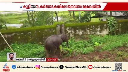 ചേകാടി സ്കൂളിൽ കണ്ടെത്തിയ കുട്ടിയാന കർണാടകയിലെ ജനവാസ മേഖലയിൽ