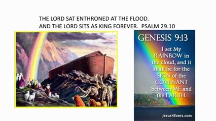 Lessons from Noah - Part 2