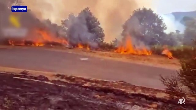 İspanya'daki yangın söndürme çalışmalarında hayatını kaybedenlerin sayısı 4'e çıktı