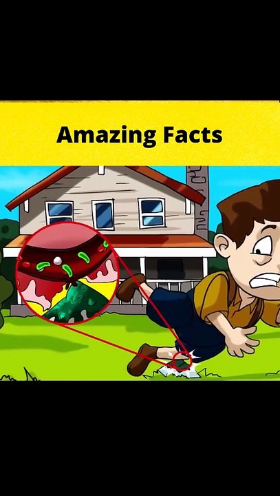 The Soldier Who WON A War Without A Weapon  #shorts  #FactBeast90  - Fact Beast90