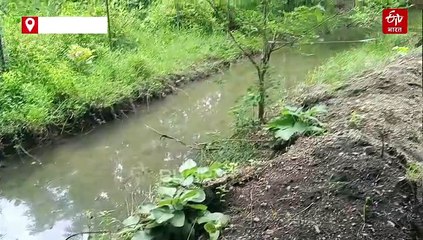 अब नहीं जाएगी प्यास से जंगली जानवरों की जान, मुरझाते पौधे भी लहलहा उठेंगे