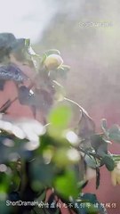 I Rented a Daddy and he Stayed