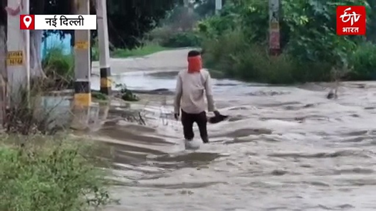 यमुना का कहर: जलमग्न खेतों में फंसे किसानों ने खुद बचाई अपनी जान, फसल बर्बादी की आशंका