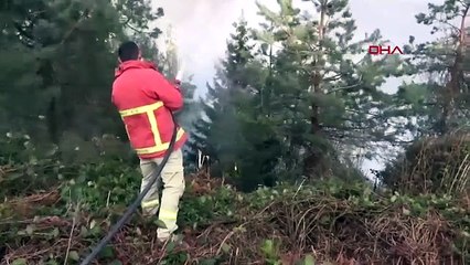 Küle dönen ormanlık alanlarımızı yeniden yeşertilmesi için kritik uyarı