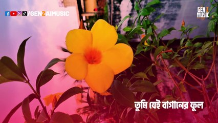 Tomare Futaite Go Amar Chokher Niche Kali | Gen Z Music