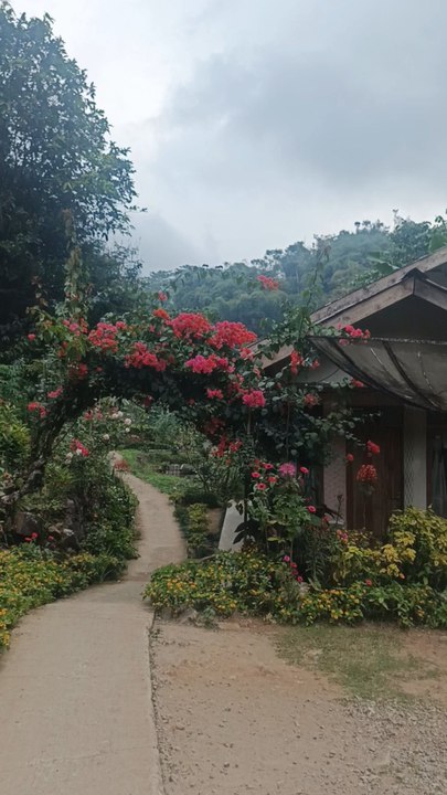 clean village
