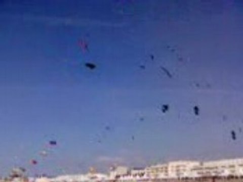 cerfs-volants berck 2008