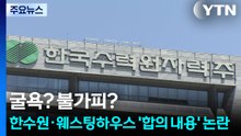 굴욕? 불가피?...한수원·웨스팅하우스 '합의 내용' 논란 / YTN