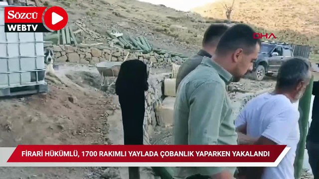 Fuhşa teşvik suçundan 7.5 yıl hapis cezası bulunan şahıs çobanlık yaparken yakalandı