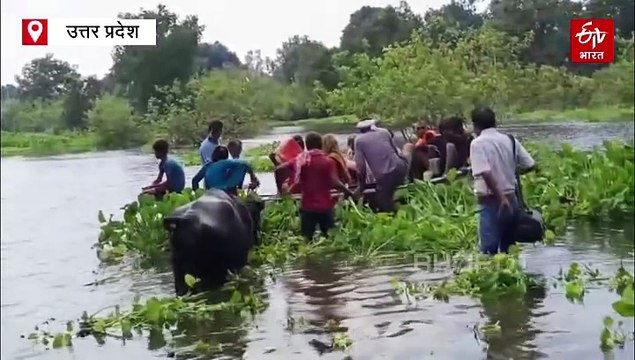 यूपी में बाढ़: कानपुर में गंगा का जलस्तर चेतावनी बिंदु के पार, 10 गांवों में बाढ़, मथुरा में बाढ़ जैसे हालात, कई इलाकों में घुसा पानी