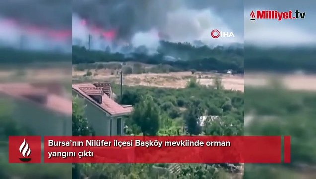 Bursa’da orman yangını! Rüzgarın etkisiyle alevler yayıldı