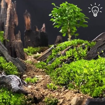 Outstanding nature dioramas with recycled materials!
