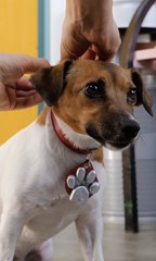 Everyday objects upgraded with smart chip technology