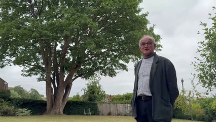 Row with diocese over 250-year-old tree