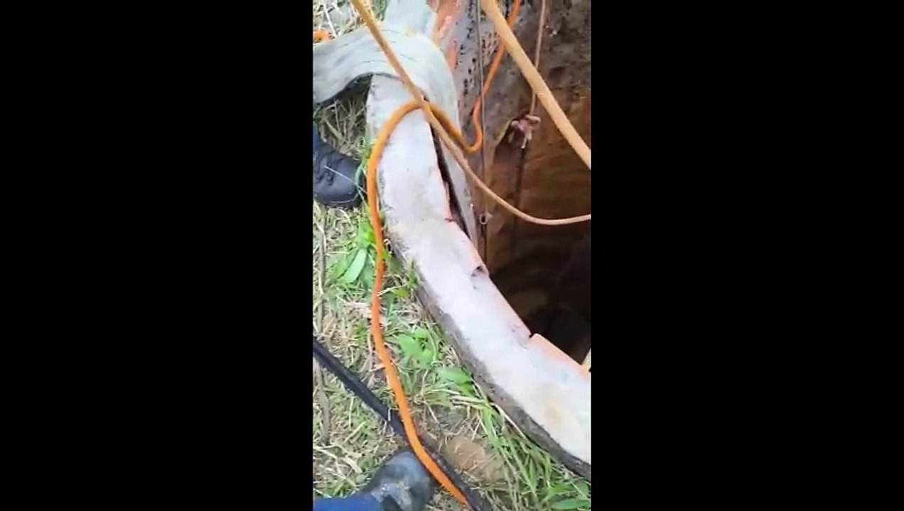 Cavalo fica preso em poço de 7 metros e é resgatado em Criciúma