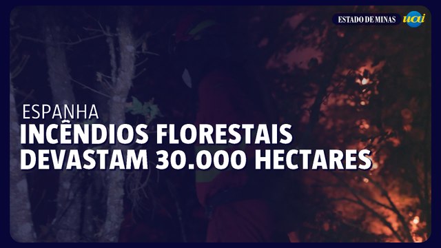Incêndios florestais na Espanha devastam mais 30.000 hectares em um dia