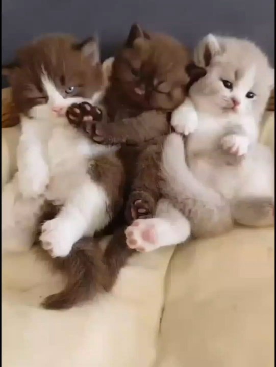 mew