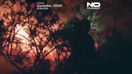 Schlimmste Waldbrandsaison seit Jahrzehnten in Spanien: Über 340.000 Hektar verbrannt