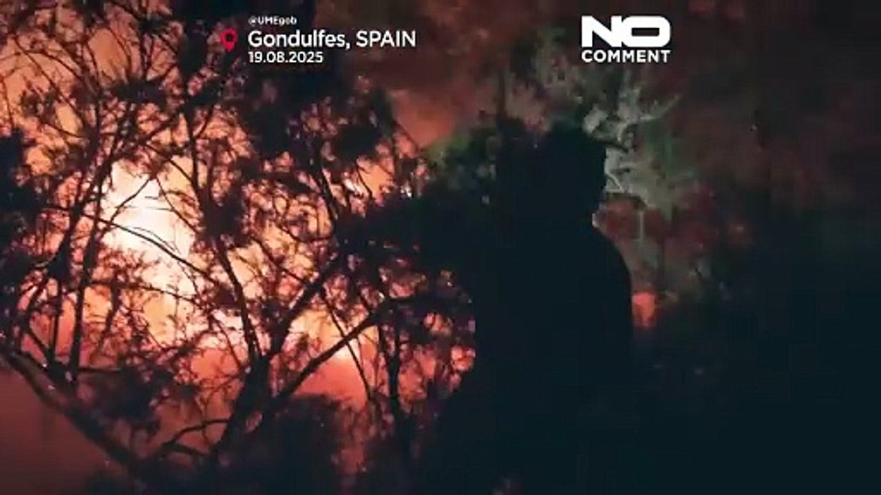 Schlimmste Waldbrandsaison seit Jahrzehnten in Spanien: Über 340.000 Hektar verbrannt