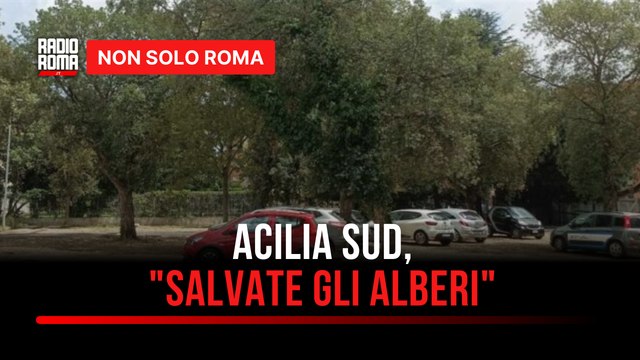 Stazione Acilia Sud, il progetto per il parcheggio rischia di far abbattere 100 alberi la battaglia dei residenti