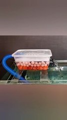 Filter for fish tank | Aquarium top filter