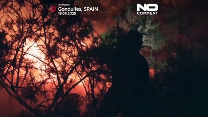 La pire saison des incendies de forêt depuis des décennies brûle plus de 340 000 hectares en Espagne