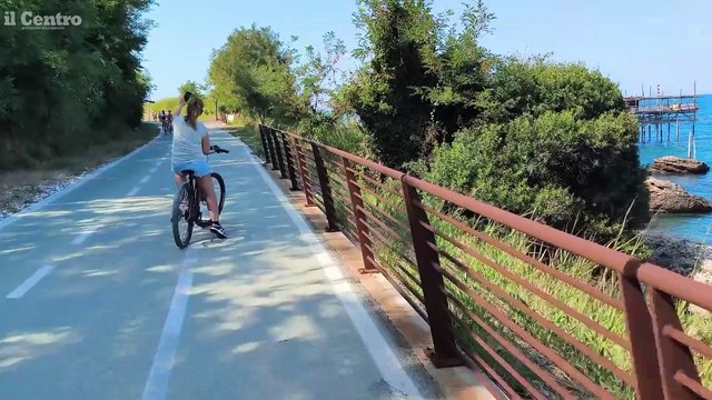 Image from field_mediaid