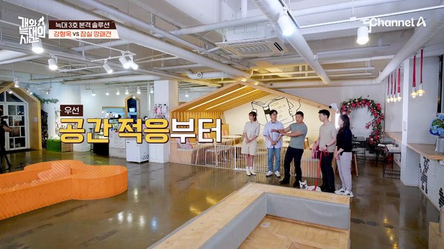 내 앞에서 욕하지 마 늑대 3호에게 주의를 주는 강형욱