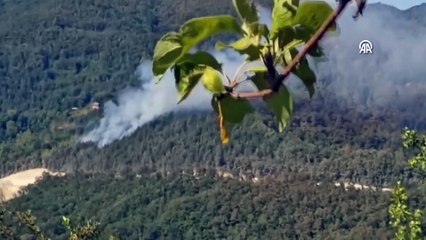 Sinop'un Türkeli ilçesinde orman yangını