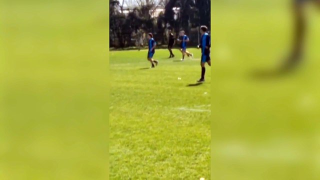 La AFA despidió a un árbitro por atentar contra los valores del fútbol